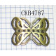 CKB4787