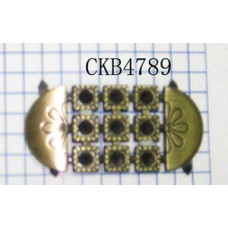 CKB4789