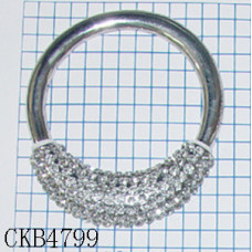 CKB4799