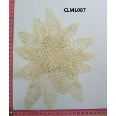 CLM1087(2)