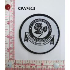 CPA7613