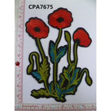 CPA7675