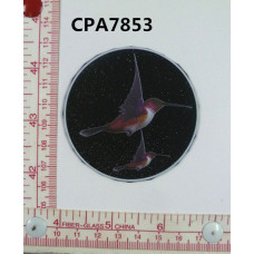 CPA7853