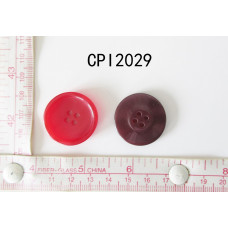 CPI2029