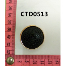 CTD0513