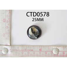 CTD0578