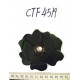 CTF4519