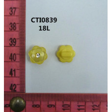 CTI0839