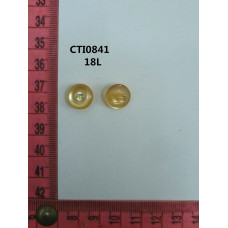 CTI0841