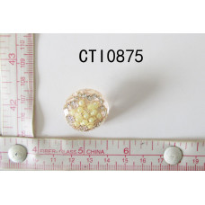 CTI0875