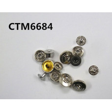 CTM6684