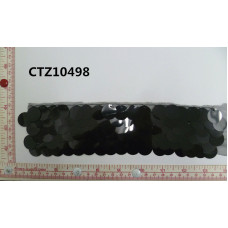 CTZ10498