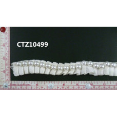 CTZ10499