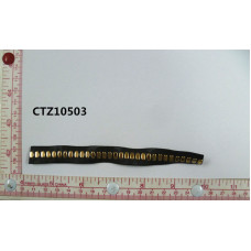 CTZ10503