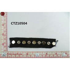 CTZ10504