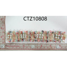 CTZ10808