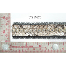 CTZ10820