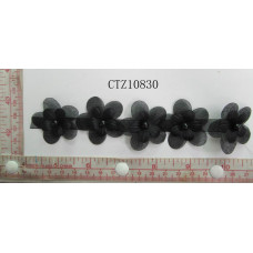 CTZ10830