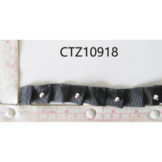 CTZ10918