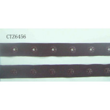 CTZ6456