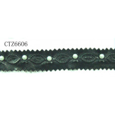 CTZ6606