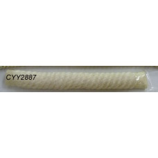 CYY2887