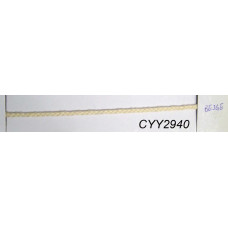 CYY2940