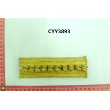 CYY3893