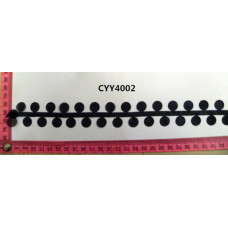 CYY4002