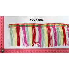 CYY4009