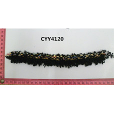 CYY4120