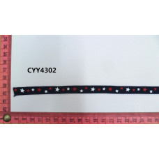 CYY4302