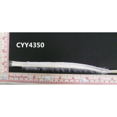 CYY4350