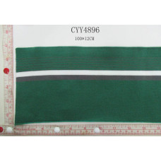 CYY4896