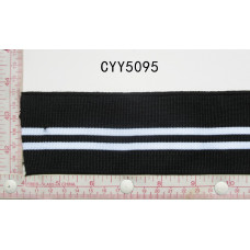 CYY5095